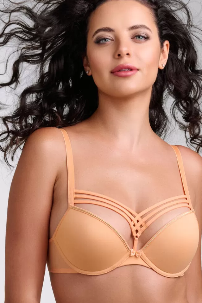 dame-de-paris-push-up-bra*Marlies Dekkers Lingerie Store