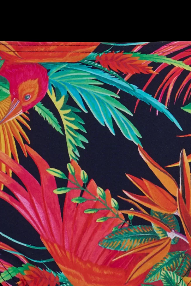 hulahakacmbriefs_6.webp hula-haka-5-cm-briefs*Marlies Dekkers Lingerie Cheap